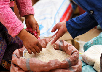 到目前为止，免费大米已经捐赠了950多亿粒谷物