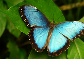 拥抱像这只蝴蝶这样的变化。