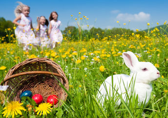 当复活节兔子坐在装满彩蛋的篮子旁边时，孩子们正在出去寻找复活节彩蛋。